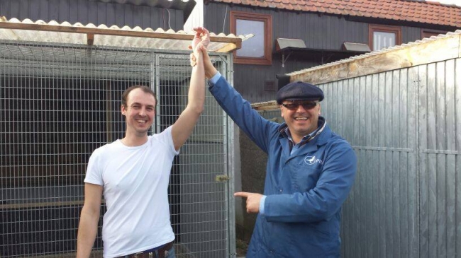 Bart Geerinckx , Florea Sorin