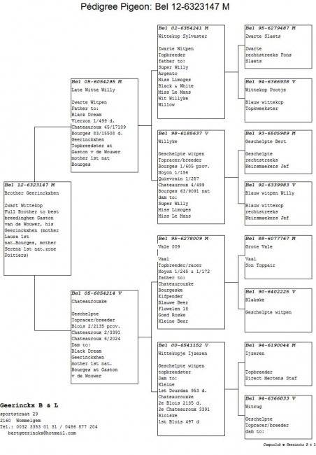 BE12-6323147 Pedigree 