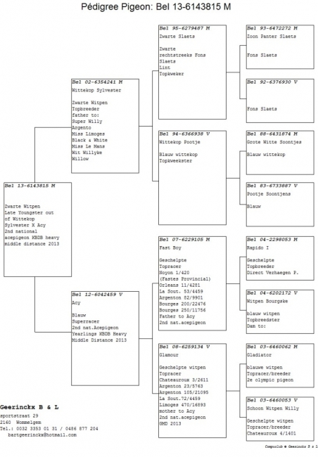 BE13-6143815 Pedigree