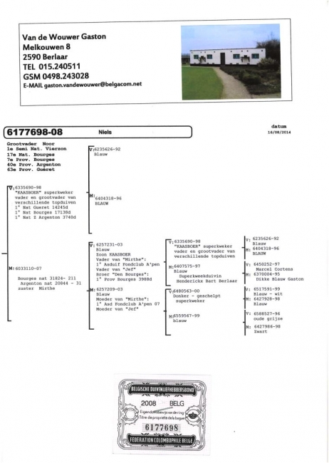 BE08-6177698_ped