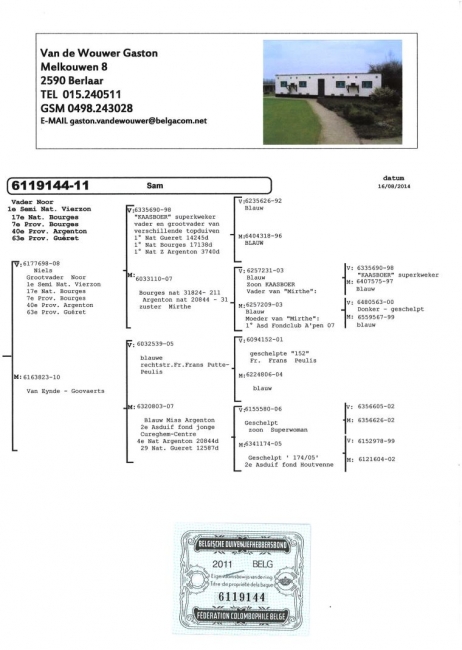 BE11-6119144_ped