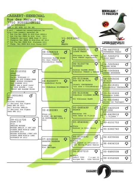BE11-9051841_ped_0