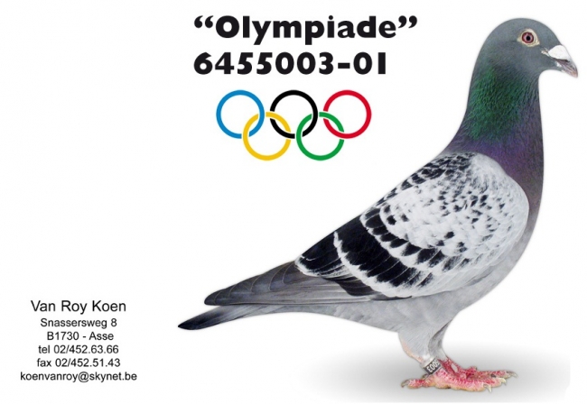 BE01-64550032 Olympiade 003