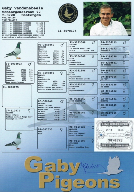 BE11-3070175_ped