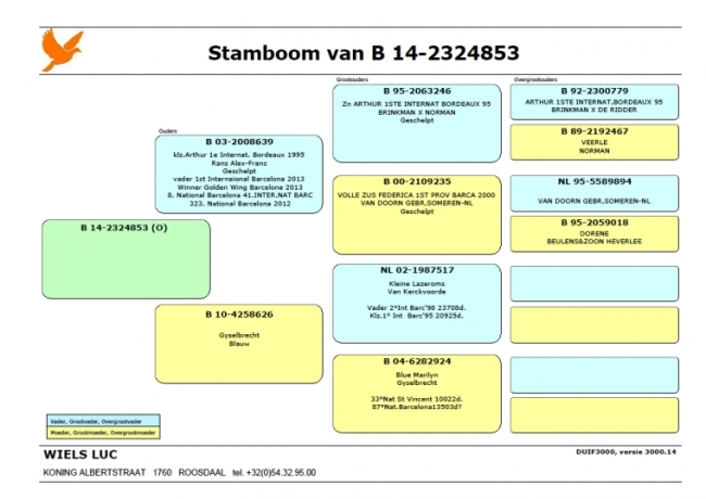 Belg 14 - 2324853 Pedigree