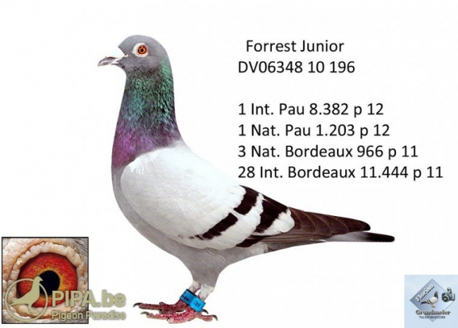 freialdenhovendv0634810196_2