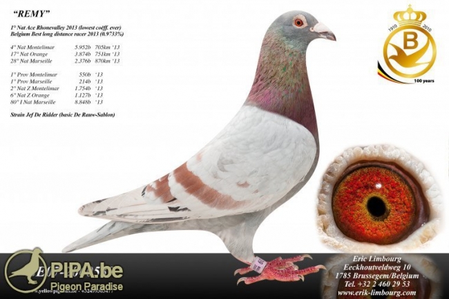 erik_limbourg_-_remy_-_be07-2060539