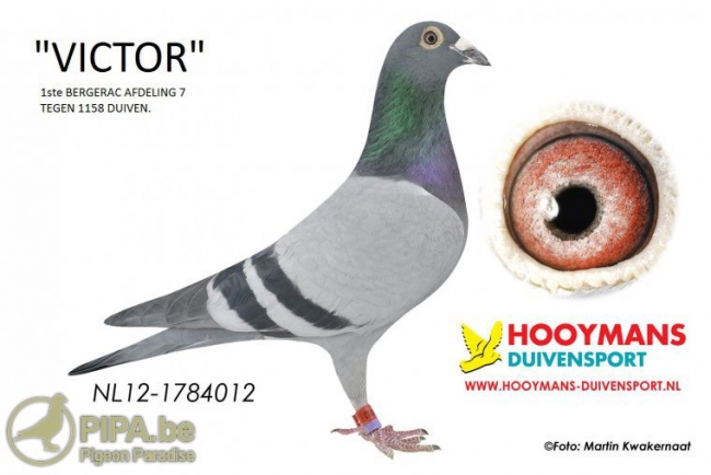 foto_6_12-012_victor