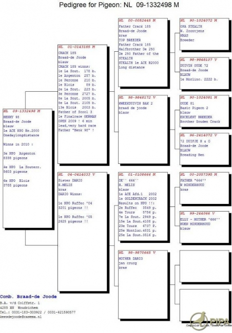 pedigree_henky_981_1