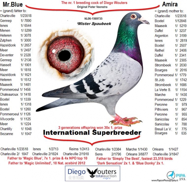 wouters_collage_mrspaubeek.1