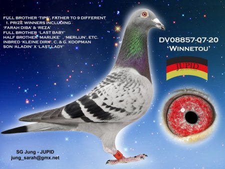 dv08857-07-20_winnetou_jung-jupid